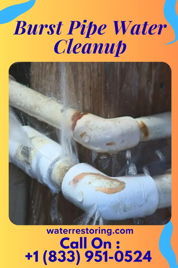 Burst Pipe Water Cleanup in Columbia, NC