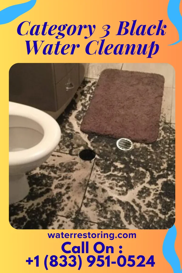 Category 3 Black Water Cleanup in Columbia, NC