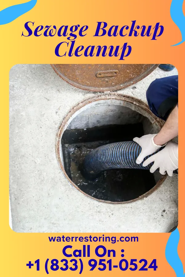 Sewage Backup Cleanup in Columbia, NC