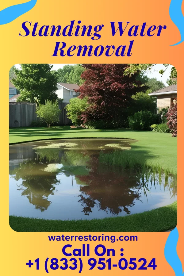 Standing Water Removal in Columbia, NC